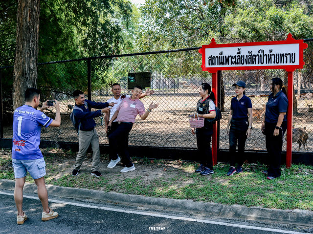 สวนสัตว์ห้วยทราย 
