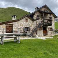Stevia Hutte