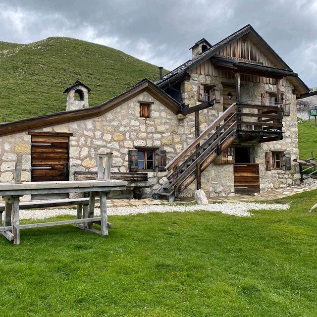 Stevia Hutte