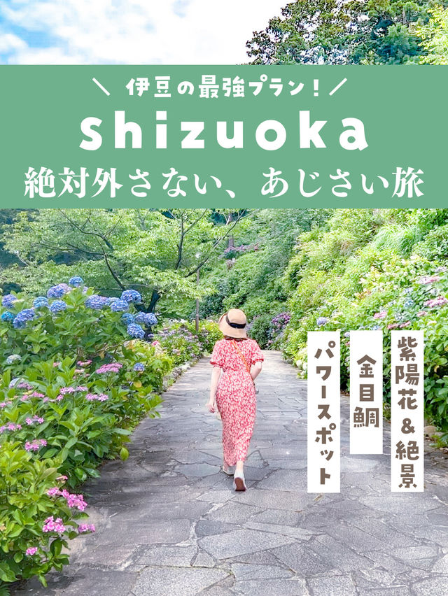 【静岡・伊豆】今が見頃❣️絶対外さない、あじさい旅