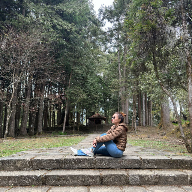Alishan National Park 