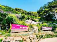 The OEDO Botania