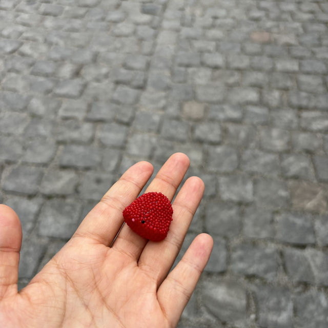체스키 크롬로프의 유일한 젤리가게🍭