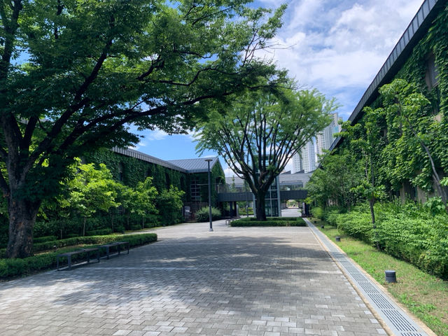 🌟 대구에서 만나는 혁신과 창의력을 위한 삼성 창조캠퍼스! 🚀