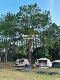 14 พิกัดเที่ยวภาคเหนือ | ฤดูฝน 🏡⛰️🌧️🌳