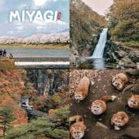 รวม 6 จังหวัดแห่งภูมิภาค Tohoku ( 東北) 