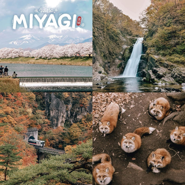 รวม 6 จังหวัดแห่งภูมิภาค Tohoku ( 東北) 