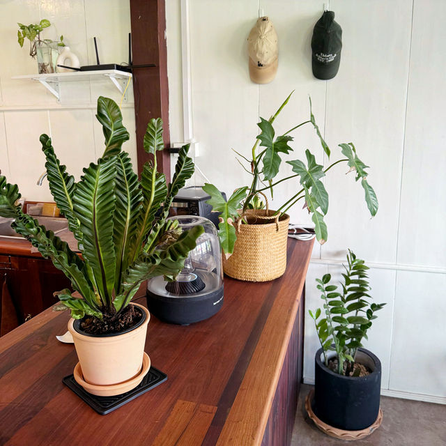 Home cafe Phonphisai 🦚
