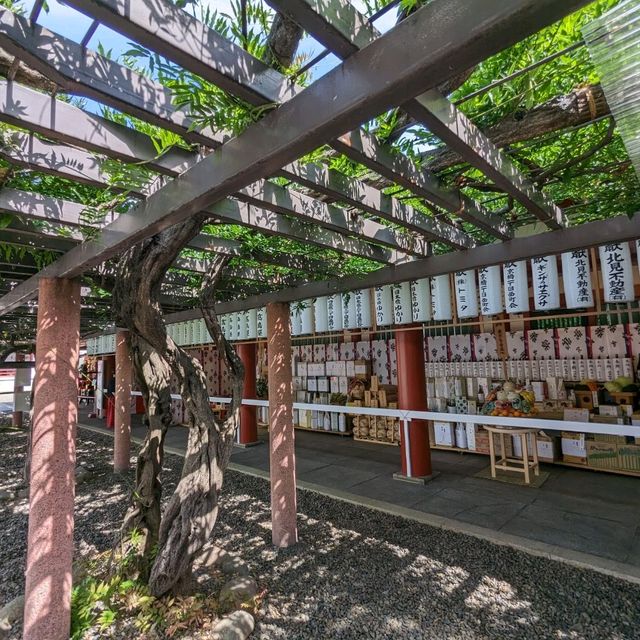 日本東京：日本三大祭典之一的山王祭：日枝神社