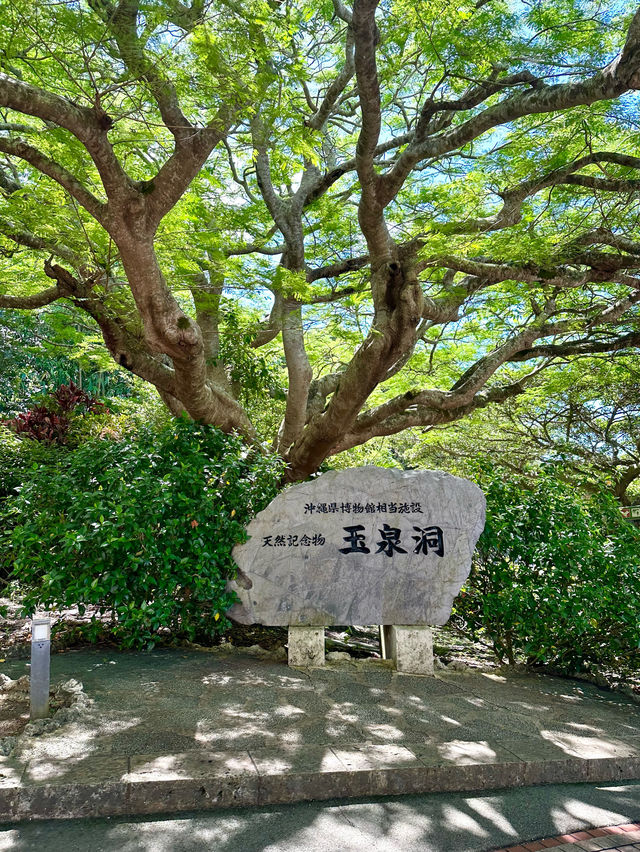 📍おきなわワールド