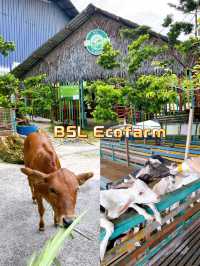 Feeding Cute Animals at BSL Ecofarm