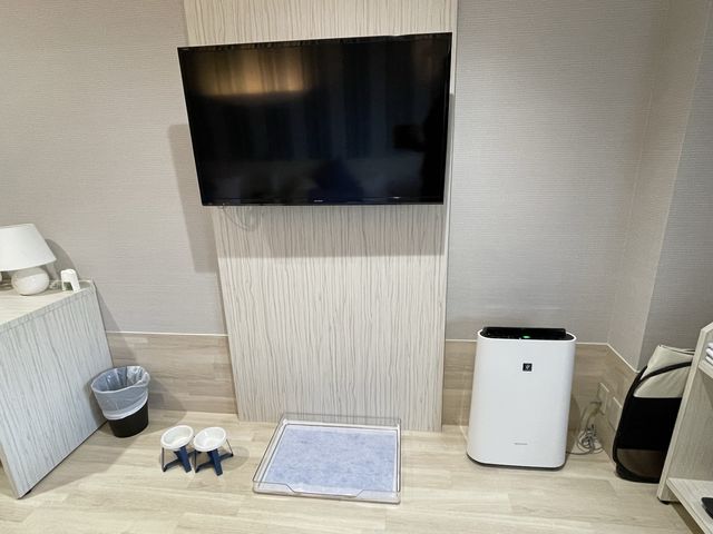 【静岡】伊豆の犬連れホテル「WAN's Resort 城ヶ崎海岸」