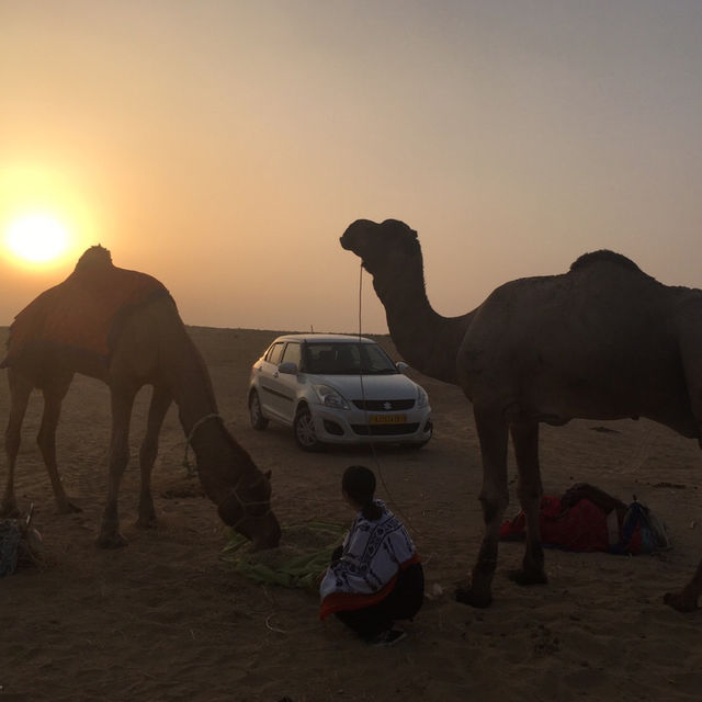 인도 타르사막 일출투어 🌅