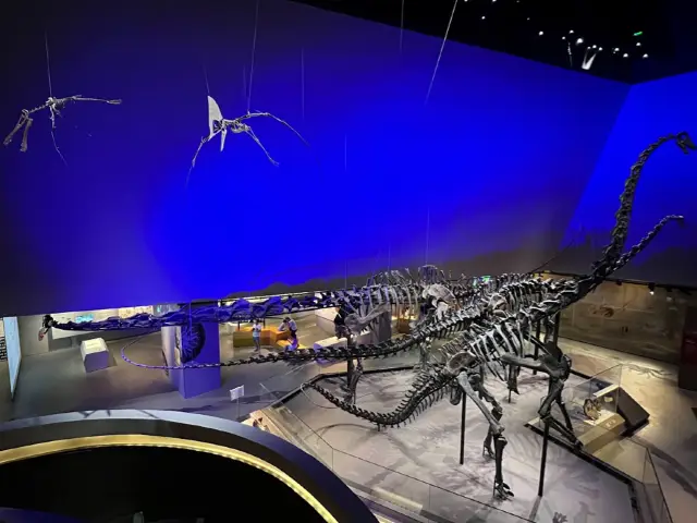 李光前自然歷史博物館，新加坡