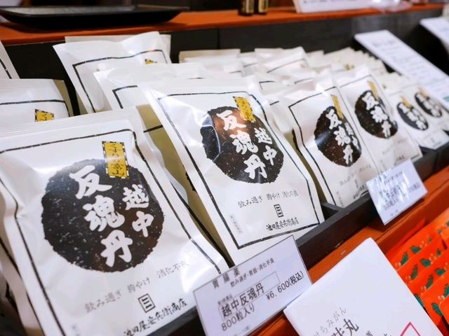 【富山城下町（①守る都市・治す産業）】（富山県富山市　旧国名：越中）