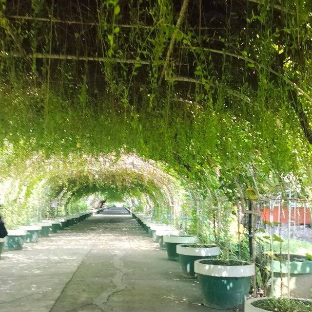 Garin Farm Experience