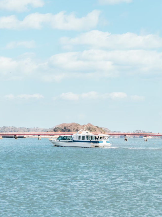 【海を走る列車!?】気分転換間違いなしの遊覧船🚢✨