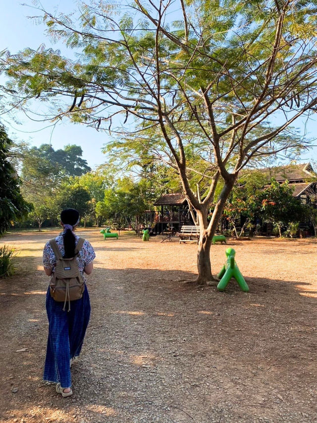 🏕️ เวียงปันดาว