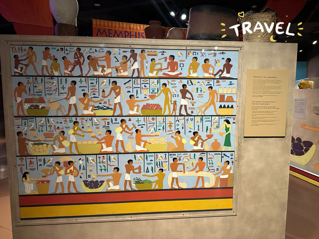 芝加哥的The Field Museum：古埃及文明展示，豐富知識和視覺享受