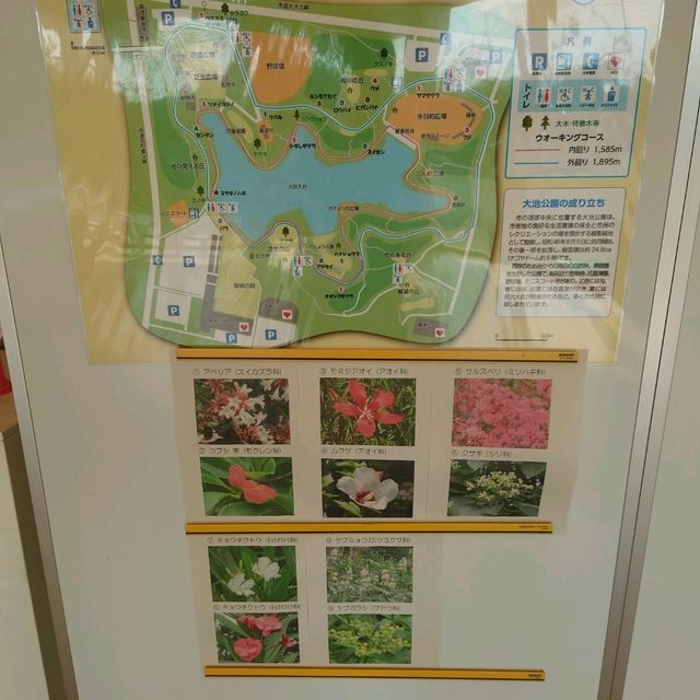 四季折々のイベント「大池公園」