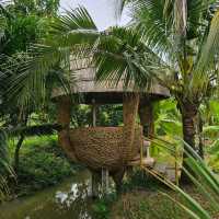 สวนกู เดอะคาเฟ่ - SuanGuu the Cafe