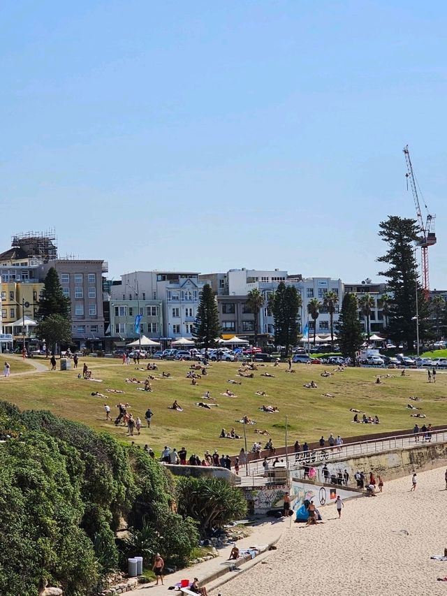 시드니 🇦🇺 많은 사람들이 사랑하는 해변 ⛱️