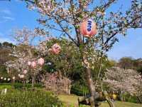 【西海橋公園:長崎県佐世保市】