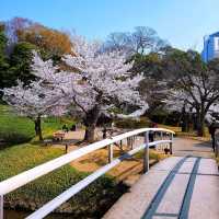 【東京】傳統日式庭園，建議春秋兩季訪問，因為這時候的景色最為壯麗。