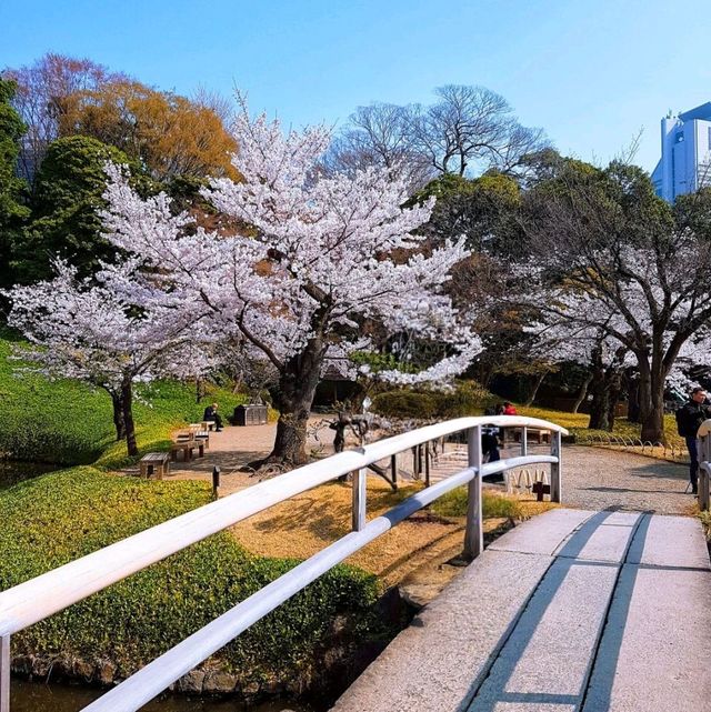 【東京】傳統日式庭園，建議春秋兩季訪問，因為這時候的景色最為壯麗。