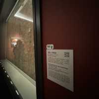 I Took 3 Flights to reach Zhengzhou Just to Experience the Splendor of the Henan Museum!