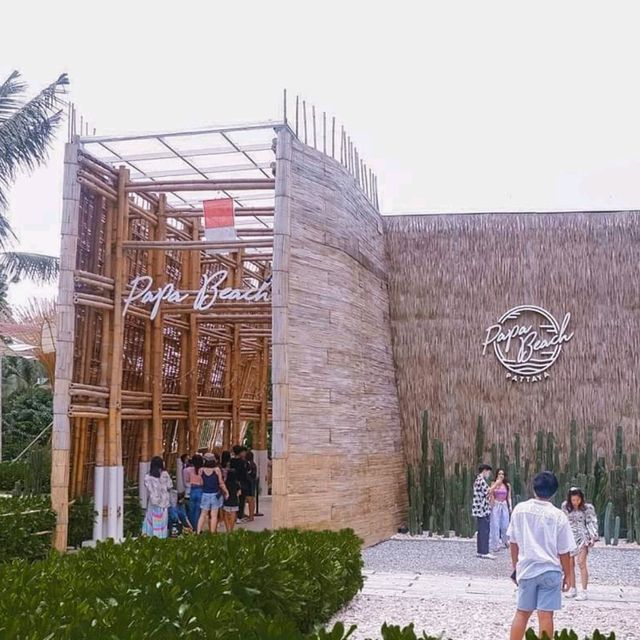𝐏𝐚𝐩𝐚 𝐁𝐞𝐚𝐜𝐡 𝐏𝐚𝐭𝐭𝐚𝐲𝐚 🌴