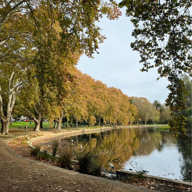 格林威治公園🔆綠意世外桃源
