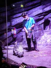 พาไปชมโลกใต้ท้องทะเลที่ Aquaria Phuket 🐧🐠