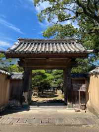【大分/杵築】大分で巡る江戸の町並み！