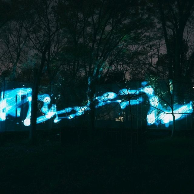 ไปดู Digiata Art สุดเท่ที่ teamLab Osaka กัน