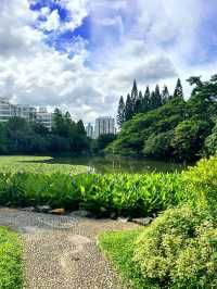 Exploring Shenzhen Lizhi Park