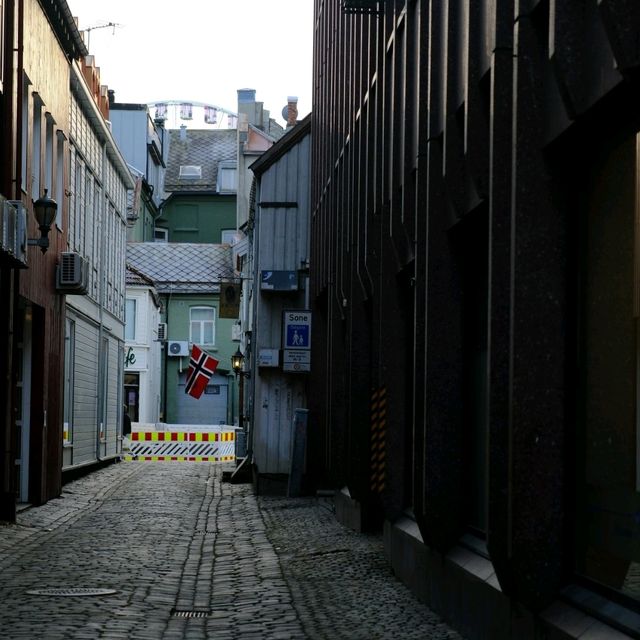 挪威的教育城市Trondheim，最後的極光
