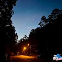 A Tropical Symphony: Conquering Gunung Angsi’s Enchanting Trails 