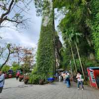 The Marble Mountains : ภูเขาหินอ่อน