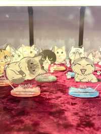 【東京都】猫のふれあいパーク「ニャンジャタウン」