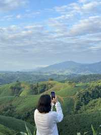 ภูเขาเทเลทับบี้ | จ.แพร่ ⛰️🌧️🌿🌳