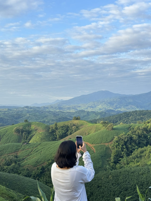 ภูเขาเทเลทับบี้ | จ.แพร่ ⛰️🌧️🌿🌳