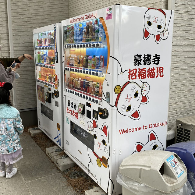 🐱⛩️🍀 Discovering Maneki-neko Magic at Gōtoku-ji Temple in Tokyo! 🌸🏯✨
