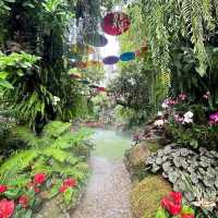 Lalitta Cafe คาเฟ่สวนป่าหิมพานต์ @ เชียงราย