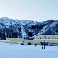  ❄️ 白色天堂：樂天新井度假村