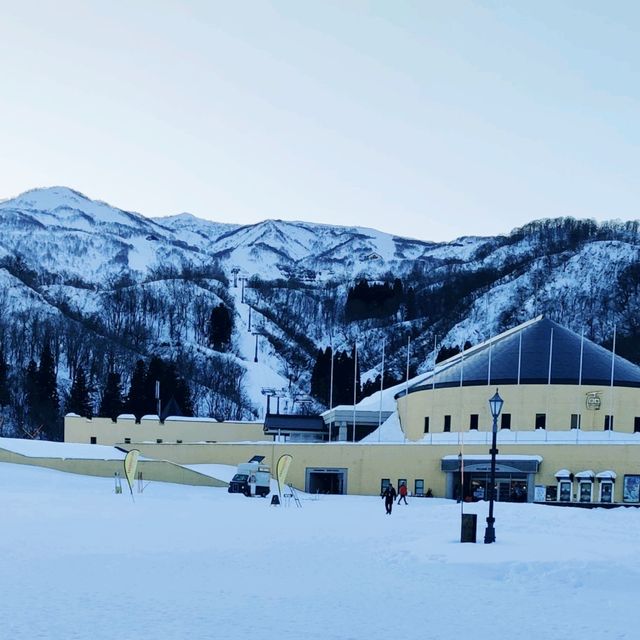  ❄️ 白色天堂：樂天新井度假村