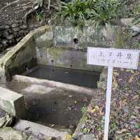 沖縄で連泊出来るなら『やんばる』へ