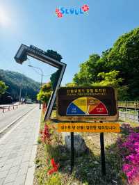 🇰🇷 Gamaksan Entrance is a photo spot 