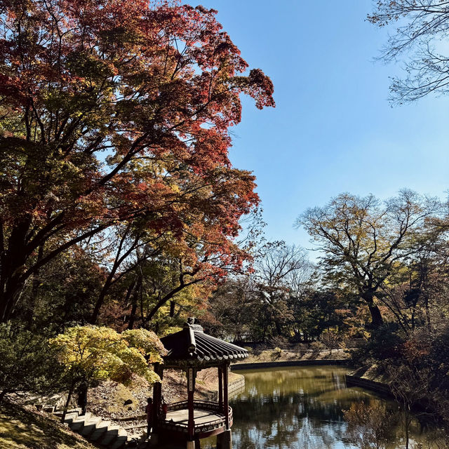 Autumn Splendor at Changdeokgung Palace