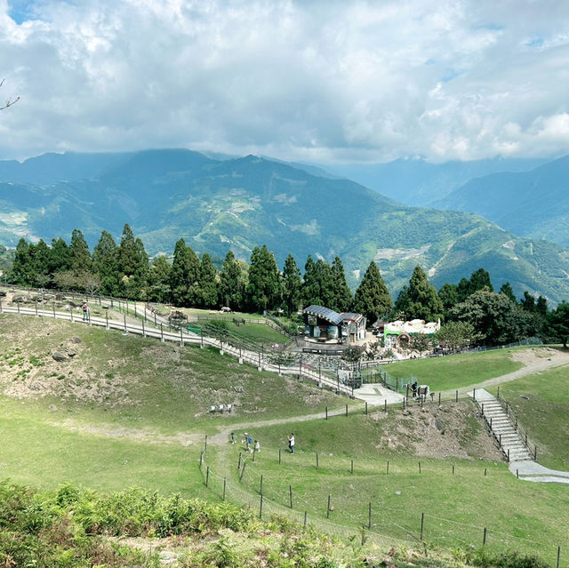 Sheep, Skywalk and Stunning Views at Qingjing Farm